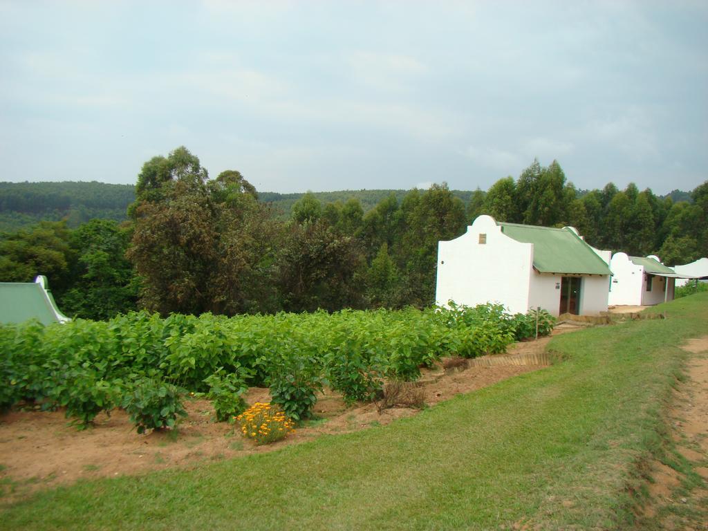 Mulberry Lane Otel Graskop Dış mekan fotoğraf