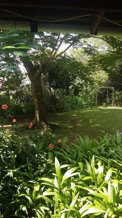 Mulberry Lane Otel Graskop Dış mekan fotoğraf